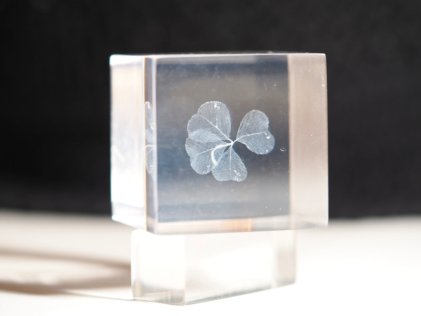 Four leaf clover cube ( White )