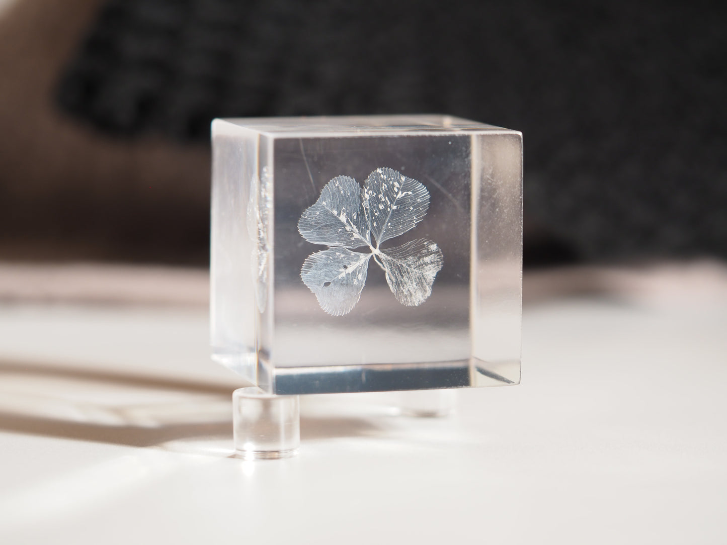 Four leaf clover cube ( white )