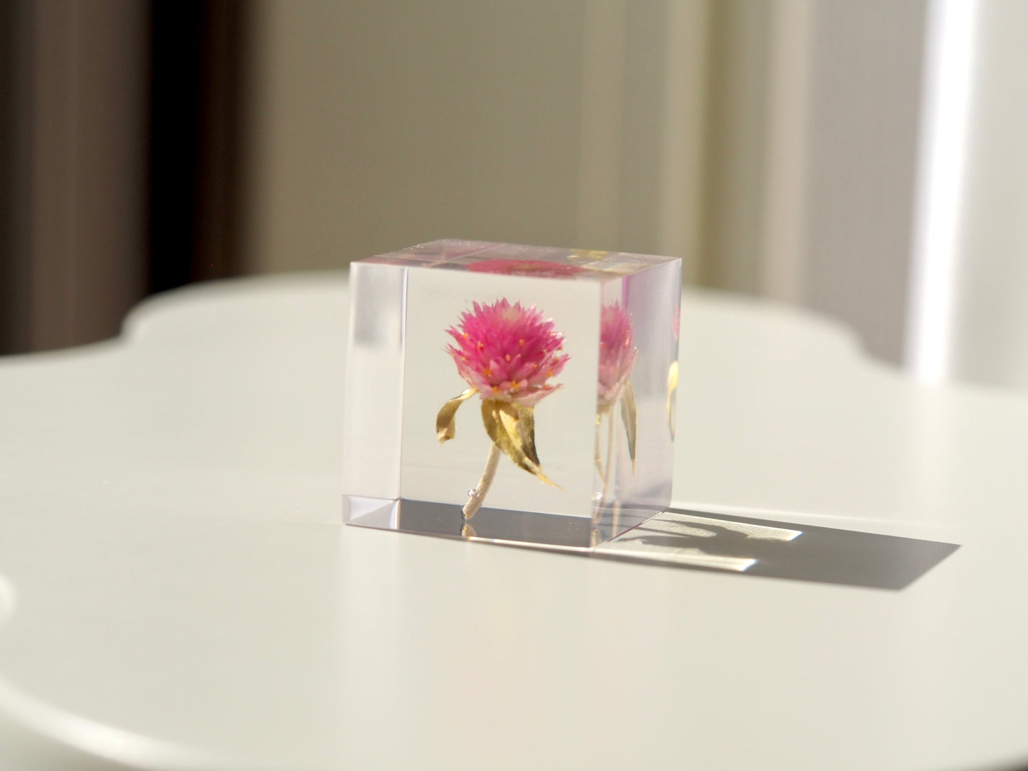 Flower cube, Globe amaranth ( pink )