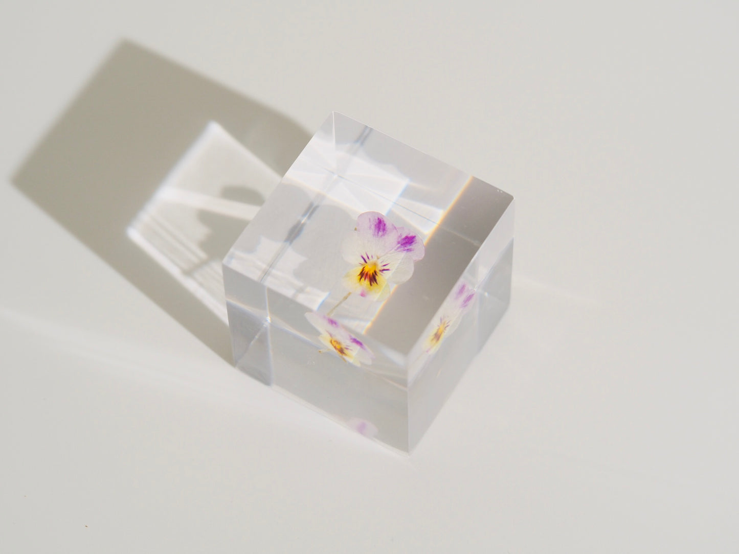 Flower cube, Pansy