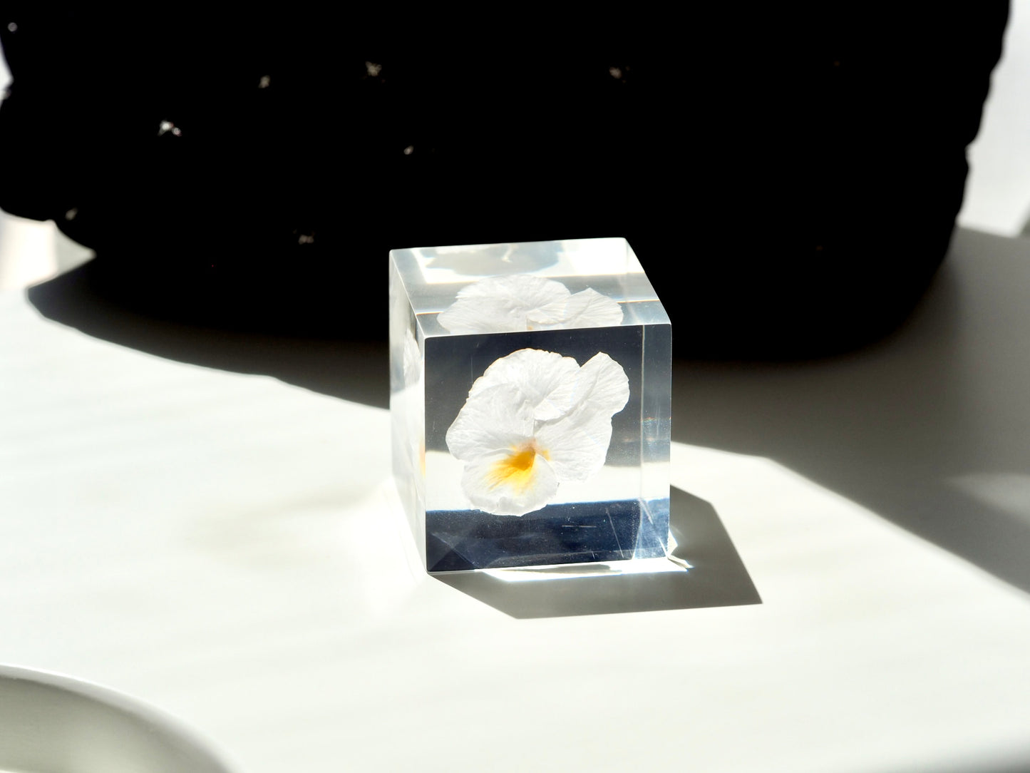 Flower cube, White pansy