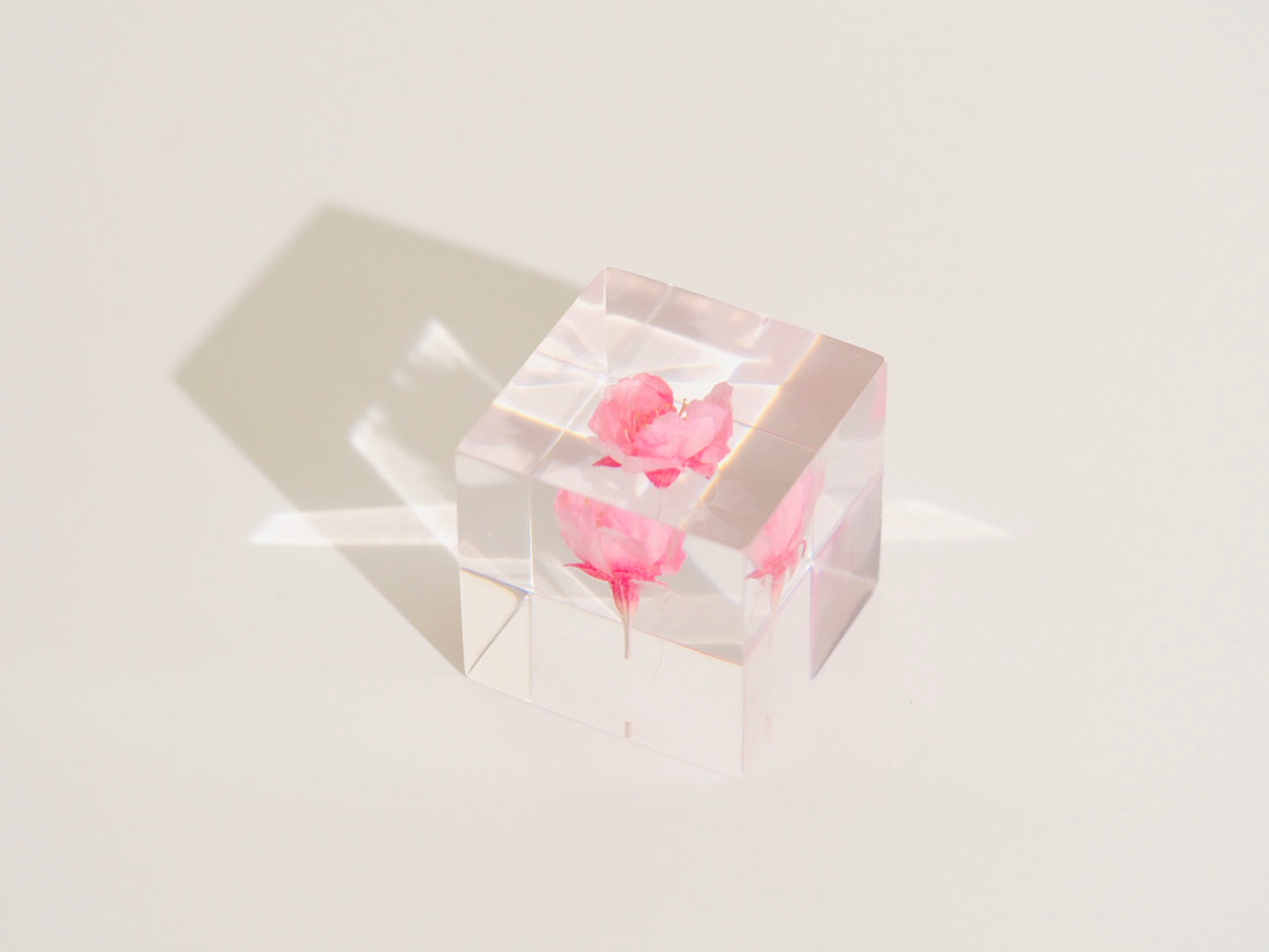 Sakura × White fourleafclover cube