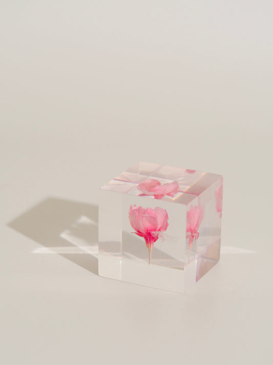 Sakura × White fourleafclover cube