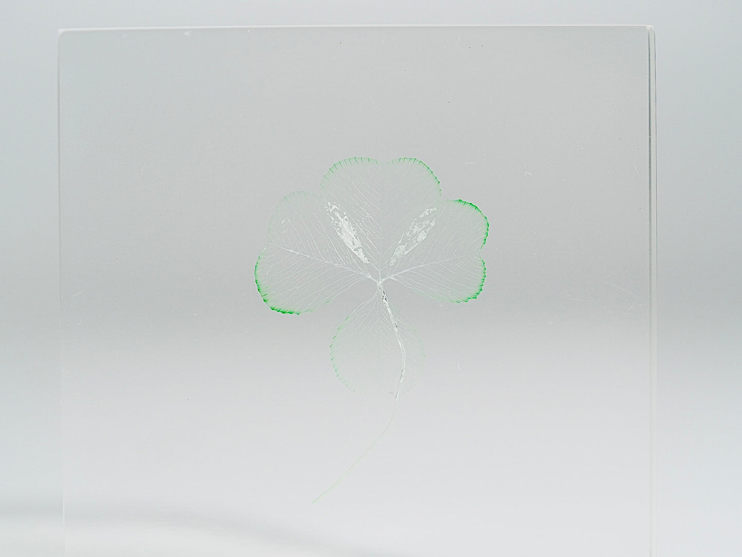 Four leaf clover object ( natural green )