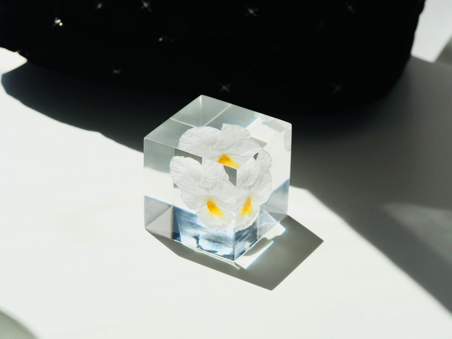 Flower cube, White pansy