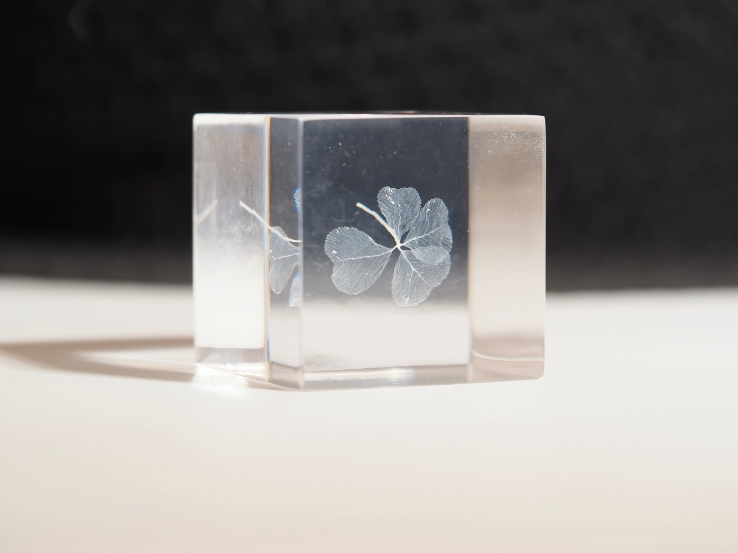 Four leaf clover cube ( White )