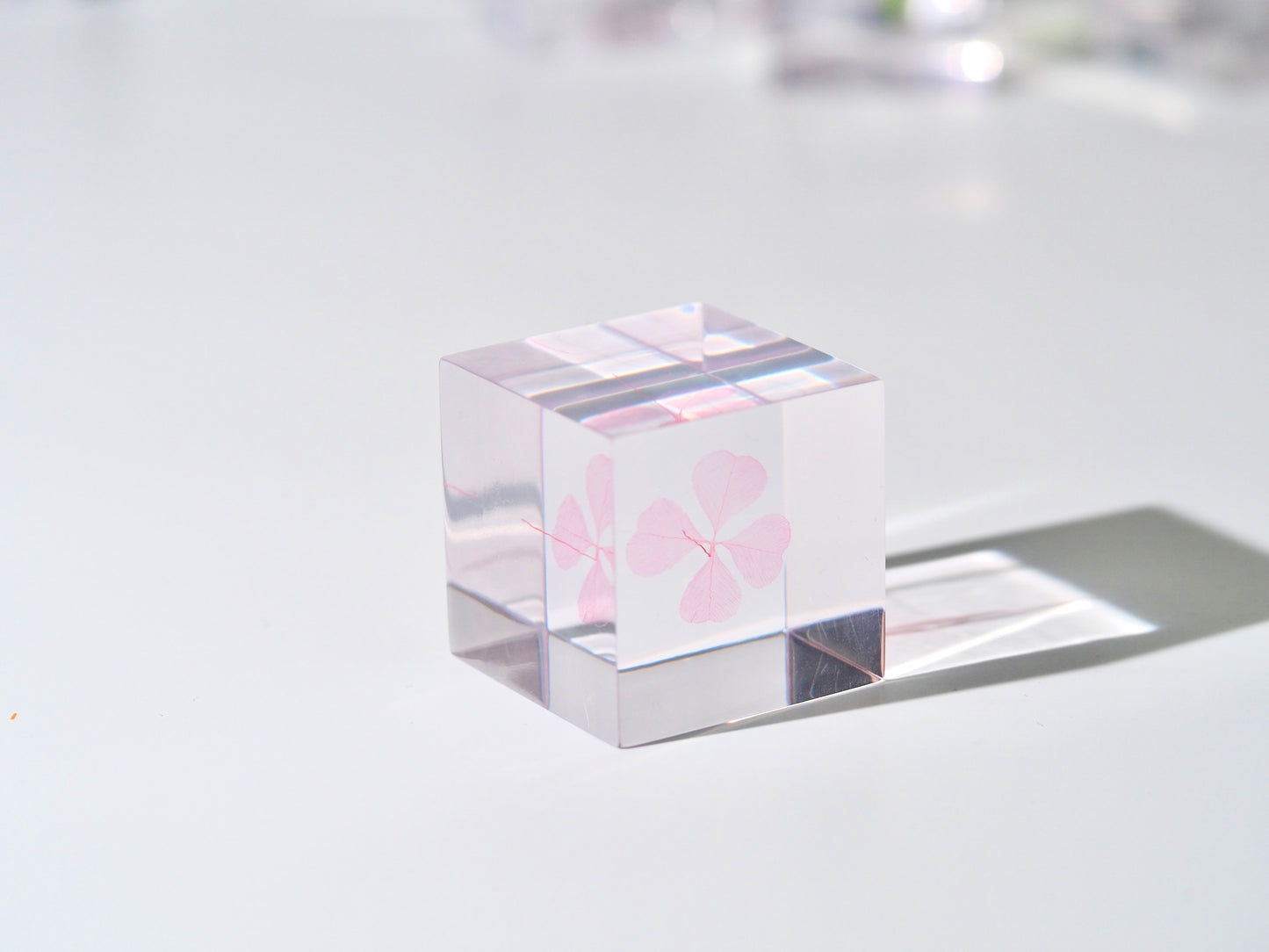 Four leaf clover cube ( Lucky pink )