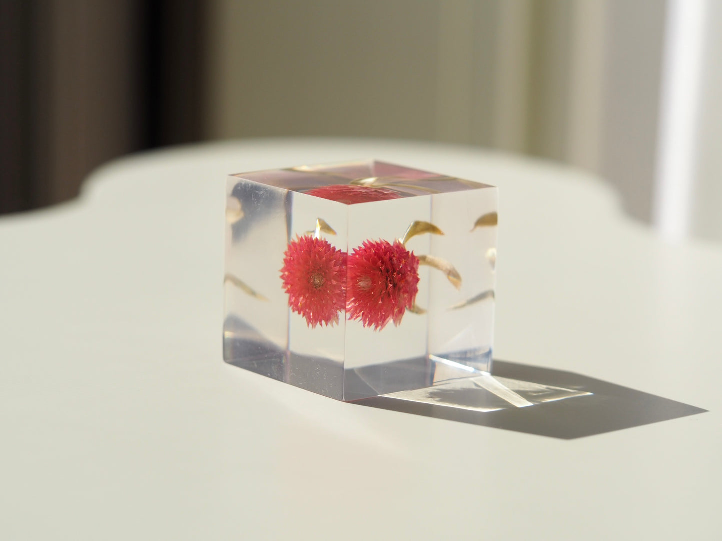 Flower cube, Globe amaranth ( red )