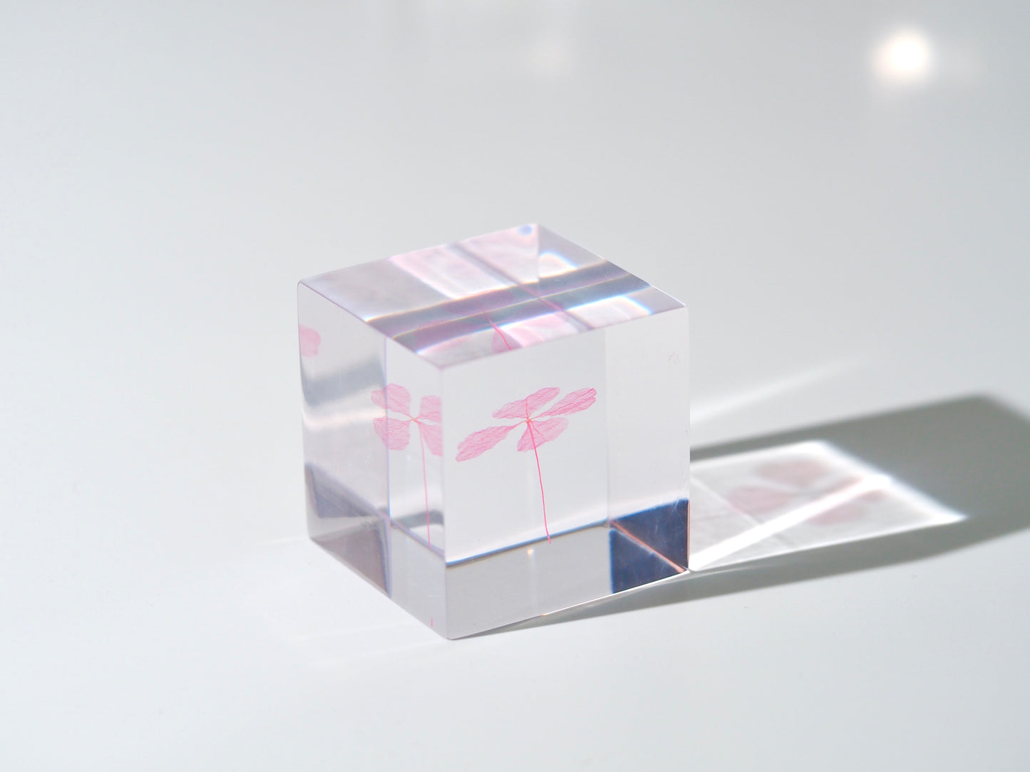 Four leaf clover cube ( Lucky pink )