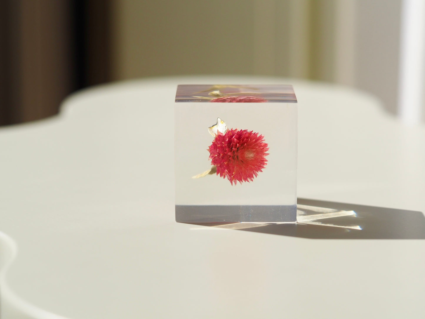 Flower cube, Globe amaranth ( red )