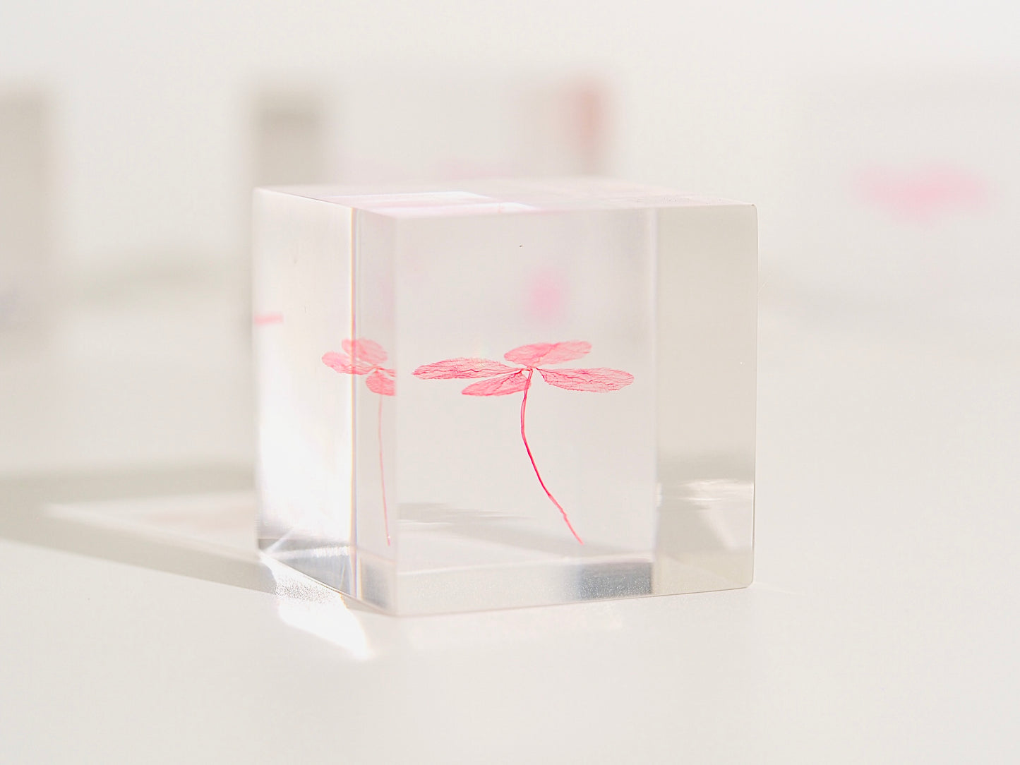 Four leaf clover cube ( pure pink )