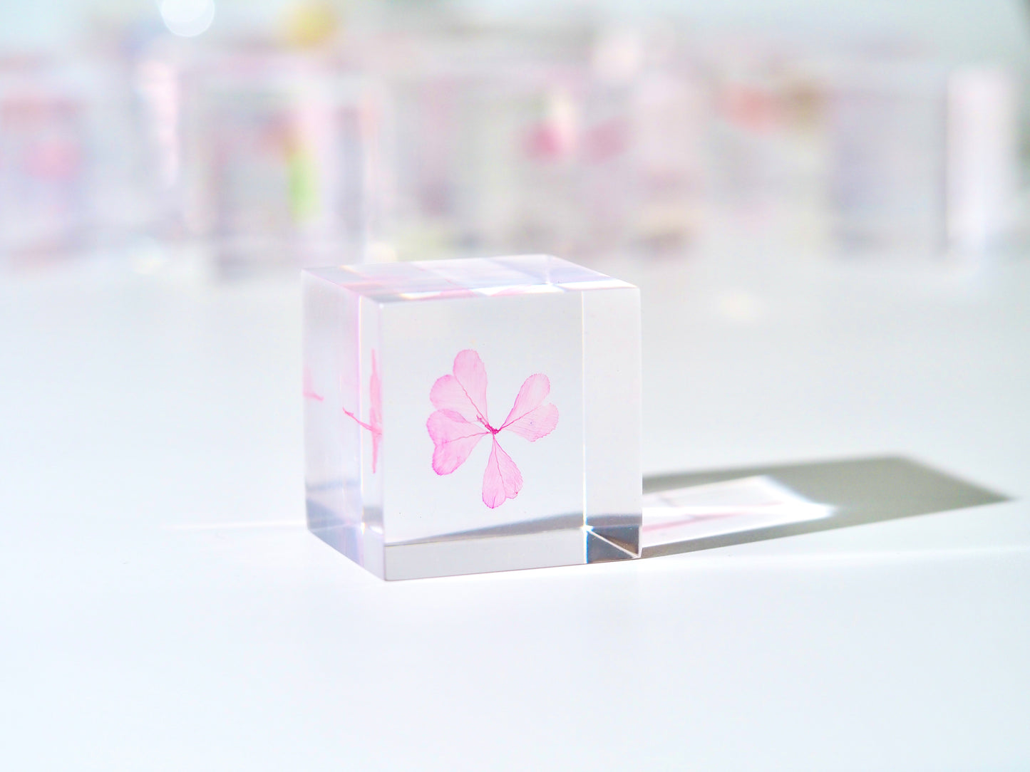 Four leaf clover cube (Magical pink)