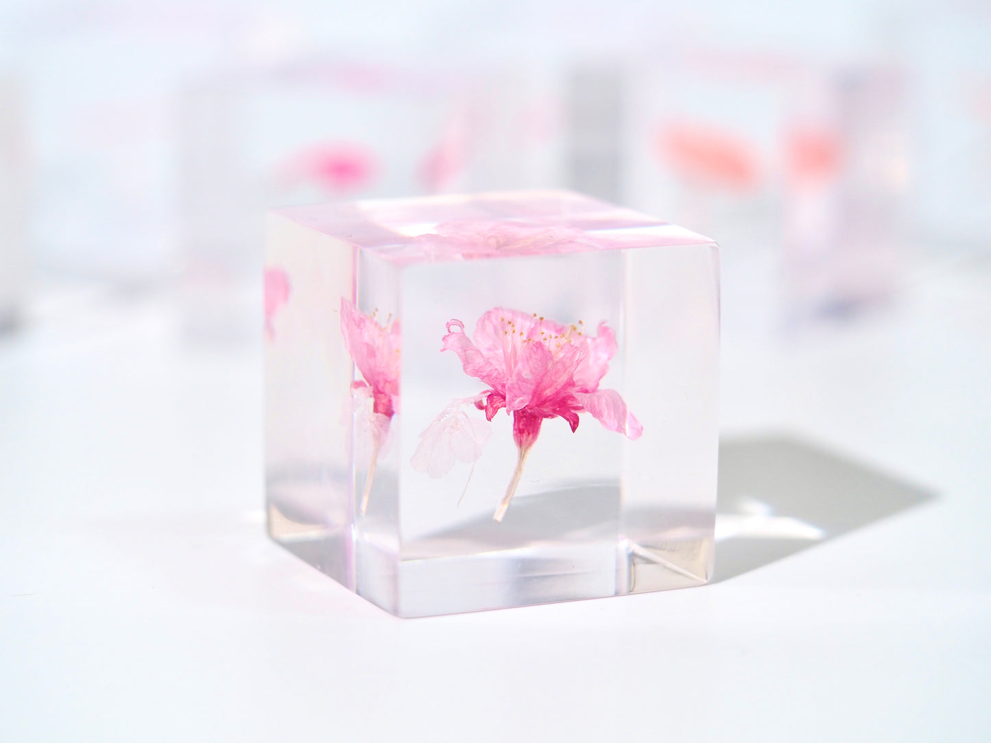 Sakura × White fourleafclover cube