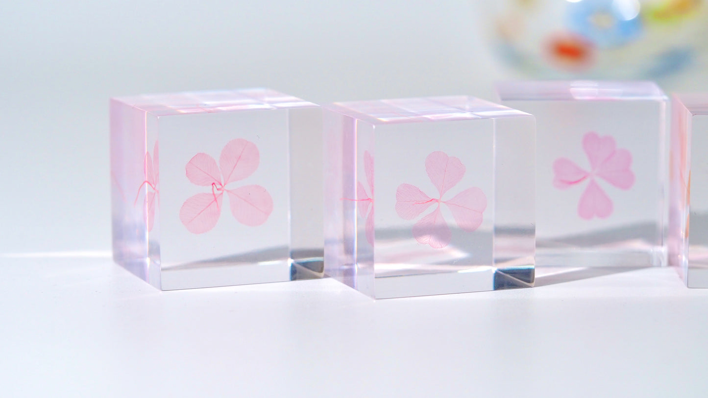 Fortune cube ( pure pink )