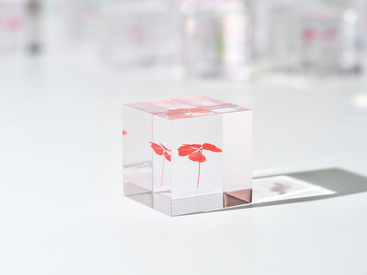 Four leaf clover cube (Pure red)