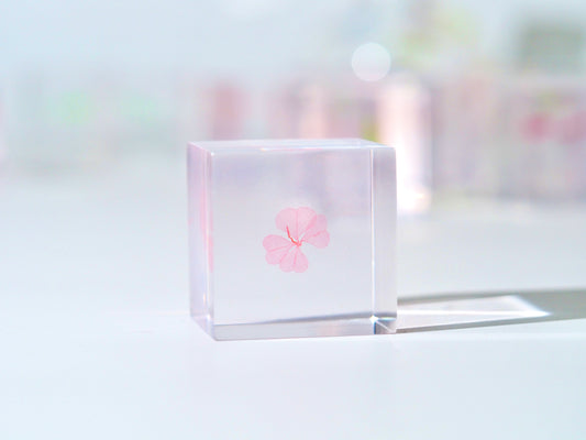 Fortune cube ( sweet pink )