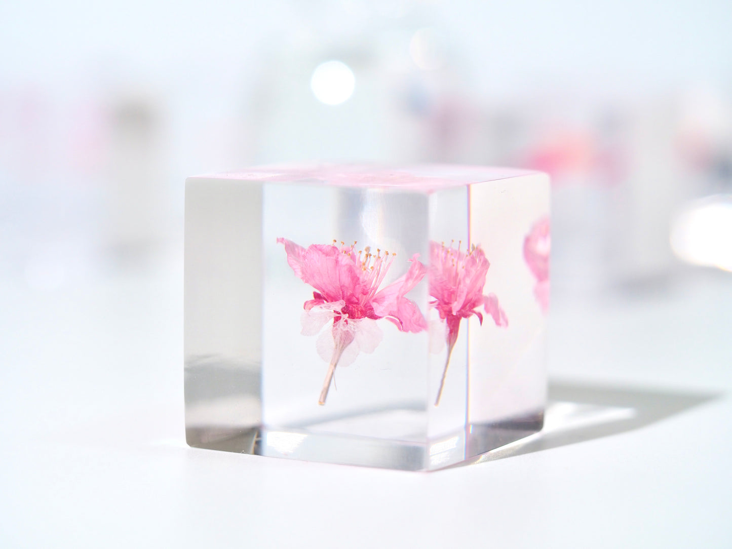Sakura × White fourleafclover cube