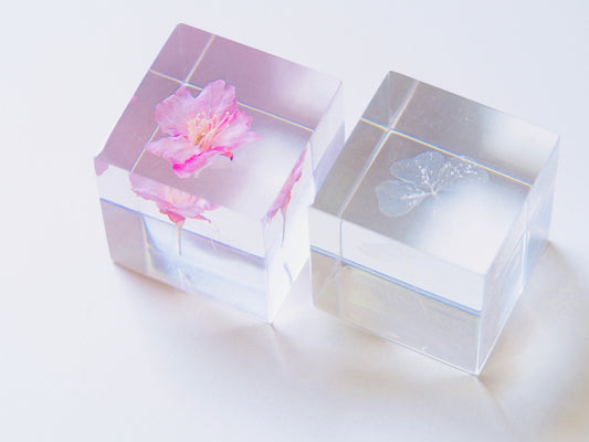 Special set ( Sakura & White Four leaf clover cube + White Four leaf clover cube )