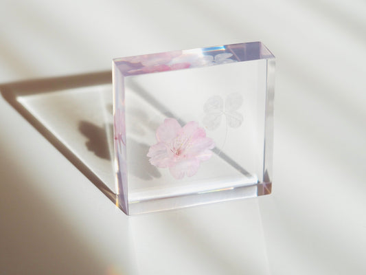 Pale Sakura× White four-leaf clover object